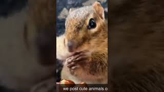 My little squeezyyy😂