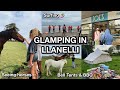 VLOG | GLAMPING IN SOUTH WALES!