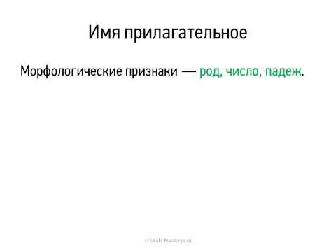 7 класс видеоконсультация по русскому языку Прилагательное часть 2 Юденко Л Е 7 класс видеоконсультация по русскому языку Прилагательное часть 2 Юденко Л Е
