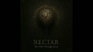 N.E.C.T.A.R. - We evolve through decay - full album 2025