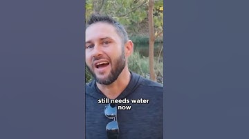 🌳 Keep Watering Your Trees Through the Winter 🍂 #Arborist Explains #Tree, #Gardeningtips, #Nature