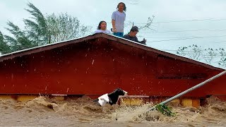 Download Lagu People are up to their necks in water, only the roofs of houses are visible! Flood in Java Indonesia MP3 Download Lagu People are up to their necks in water, only the roofs of houses are visible! Flood in Java Indonesia MP3