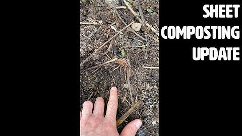 Sheet Composting Update + Goat Paddock Clearing with Matt Powers