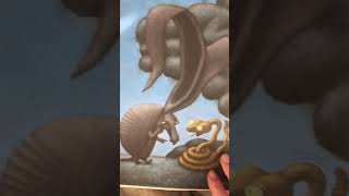 Armadillo Tattletale