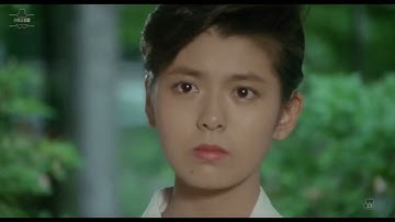 南野陽子 映画 菩提樹リンデンバウム1988 cut7