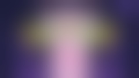 PiPet NFT Game (Pi Network): Real account Pipet NFT on OKX