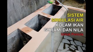 Sistem Sirkulasi & Filterisasi Kolam Ikan GURAMI & NILA Untuk Pemula