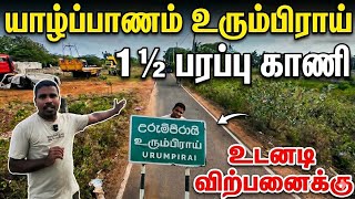 "உடனடி விற்பனைக்கு! 1 ½ பரப்பு காணி - யாழ் உரும்பிராய்"  | jaffnavlog 