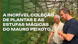 AS PLANTAS incríveis e a coleção do Mauro Peixoto.
