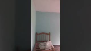 Play video: 28 de febrero de 2022