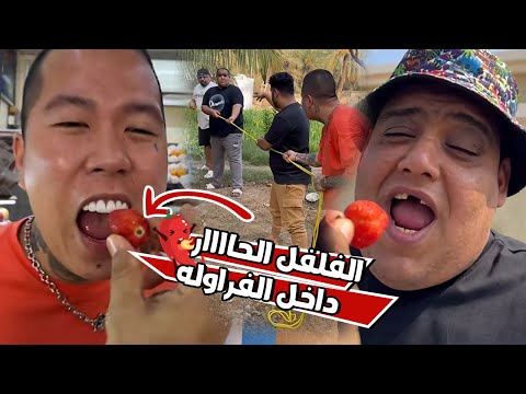 مقلب الفراوله بالفلفل الحااار في بن عمي و الكوشه