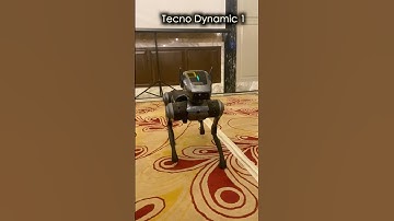 TECNO’s AI Robot Dog Dynamic 1 in Action #shorts
