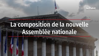 La composition de la nouvelle Assemblée nationale
