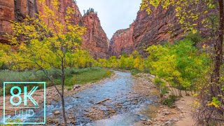 8K Nature Wallpapers Slideshow - Zion National Park Photography - Beautiful Landscapes screenshot 5
