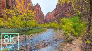 8K Nature Wallpapers Slideshow - Zion National Park Photography - Beautiful Landscapes screenshot 4