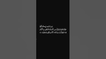الشيخ #ياسر_الدوسري #سورة_الروم