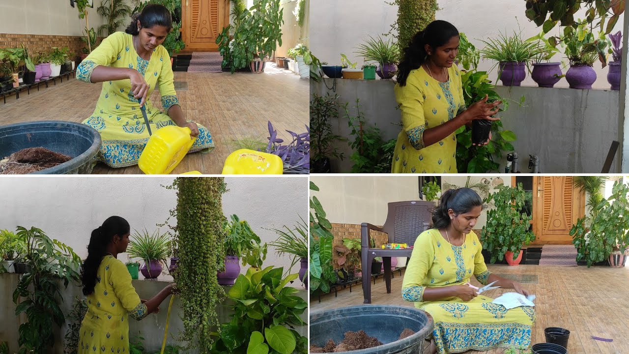 Garden Maintenance Vlog in Tamil/My weekend work in the Garden