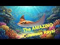 Cownose Rays: Ocean's Most Misunderstood Creature