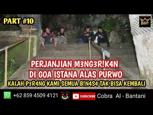 🔴 PART #10 MENYIBAK TABIR MISTERI GOA ISTANA ALAS PURWO BANYUWANGI JAWA TIMUR 😱 class=