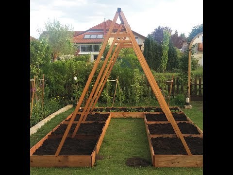 Video: Spaliermelonen - Erfahren Sie mehr über den vertikalen Anbau von Melonen in Gärten