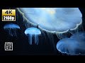 4K💫UHD/10 HRS. Beautiful pale💨jellyfish & sleep🤔music. Recommeded as screensaver , or as BGM.