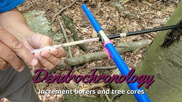 Dendrochronology: How to use an increment borer