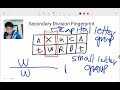Secondary Division Fingerprint