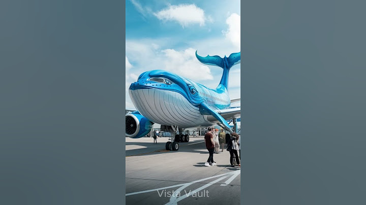 Inside the Super Cute Blue Whale Plane – DreamWhale Airlines