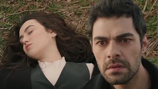 Wichrowe Wzgórze – Odcinek 50: Upadek Zeynep i Gniew Halila! Wichrowe Wzgórze – Odcinek 50: Upadek Zeynep i Gniew Halila!