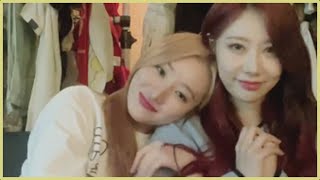 welcome to sua and handong's live part 2🐥🐱 드림캐쳐 수아 한동 라이브 환영합니다~