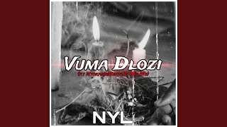 Vuma Dlozi (feat. NtokanjeBeatz & Mr Me)