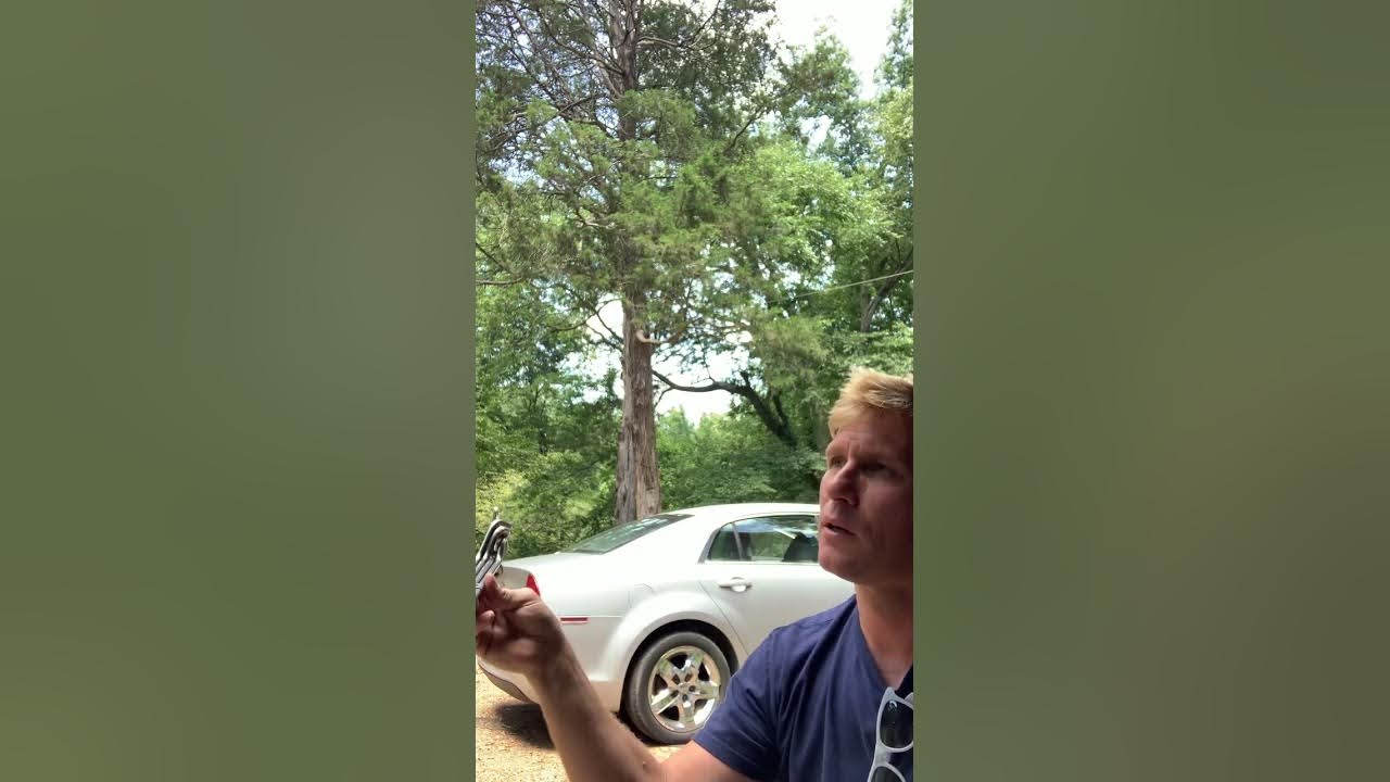 Chevy Malibu Transmission Failure wouldn’t go forward, would go in