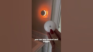 What does the Aqara Water Leak Sensor do?