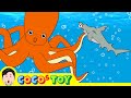 Legendary Hammerhead shark met Super octopusㅣanimals cartoon for childrenㅣCoCosToy