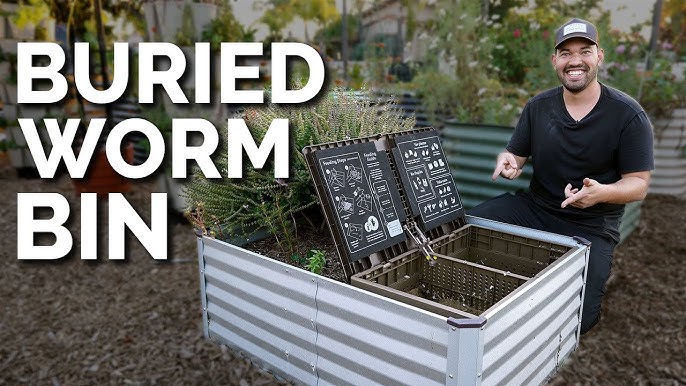 How to Make a Functional Worm Bin 