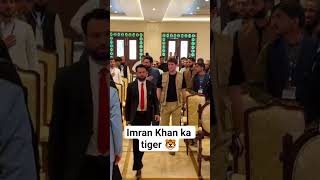 CM kpk Sohail Khan Afridi #pti #imrankhanfanclub #imrankhanfanclub #shortvideos #pakistan