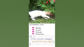 add color to form list marker