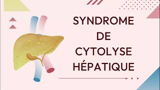 Le syndrome de cytolyse hépatique