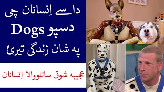 The Community of Human Pups in Pashto  da zanawar da joredo junoon || Da Elam Dunya