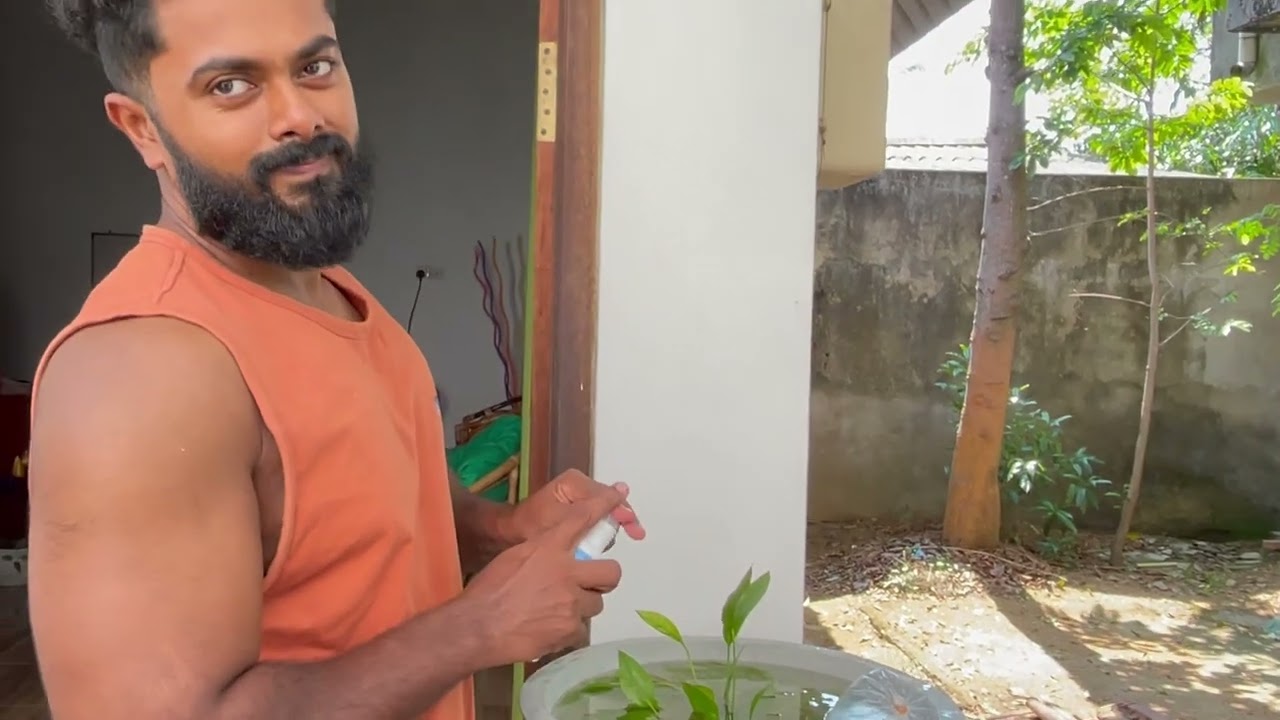 A Day In Beautiful Life..! (තවත් එක් ලස්සන දවසක්..!)