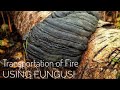 Bushcraft: Transporting Fire Using Fungus