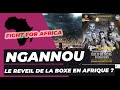 Ngannou symbole en afrique  fight for africa  conakry rveille la boxe en afrique 