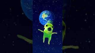 This dog is flying in outer space ￼