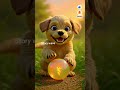 The Puppy and the Magic Ball 🐶✨