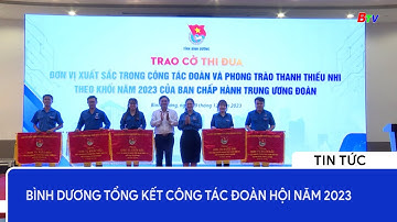 Bình Dương tổng kết công tác đoàn hội năm 2023