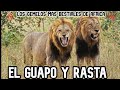 EL GUAPO Y RASTA | Los GEMELOS que causaban TERROR