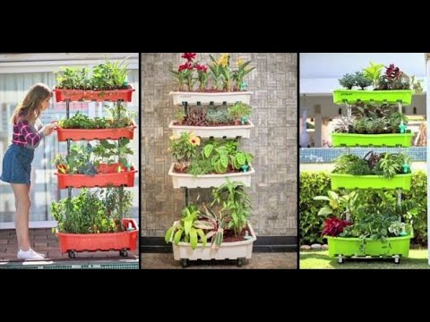 At Home Vegetable Garden Youtube