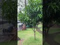 Wonogiri paling indah