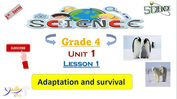 Science  chapter  lesson 1 theme 1 primary 4 first term