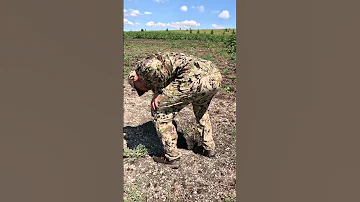Опасный сурок! Вред сурка для сельского хозяйства.